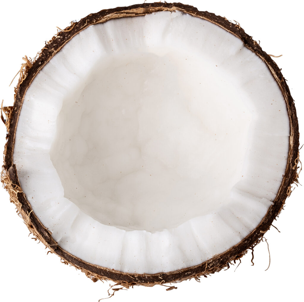 Coconut Whip – with live active yogurt cultures, gluten free, low-fat and uses low glycemic fructose as a sweetener (no high fructose corn syrup!). This is one of our super creamy dairy flavors.