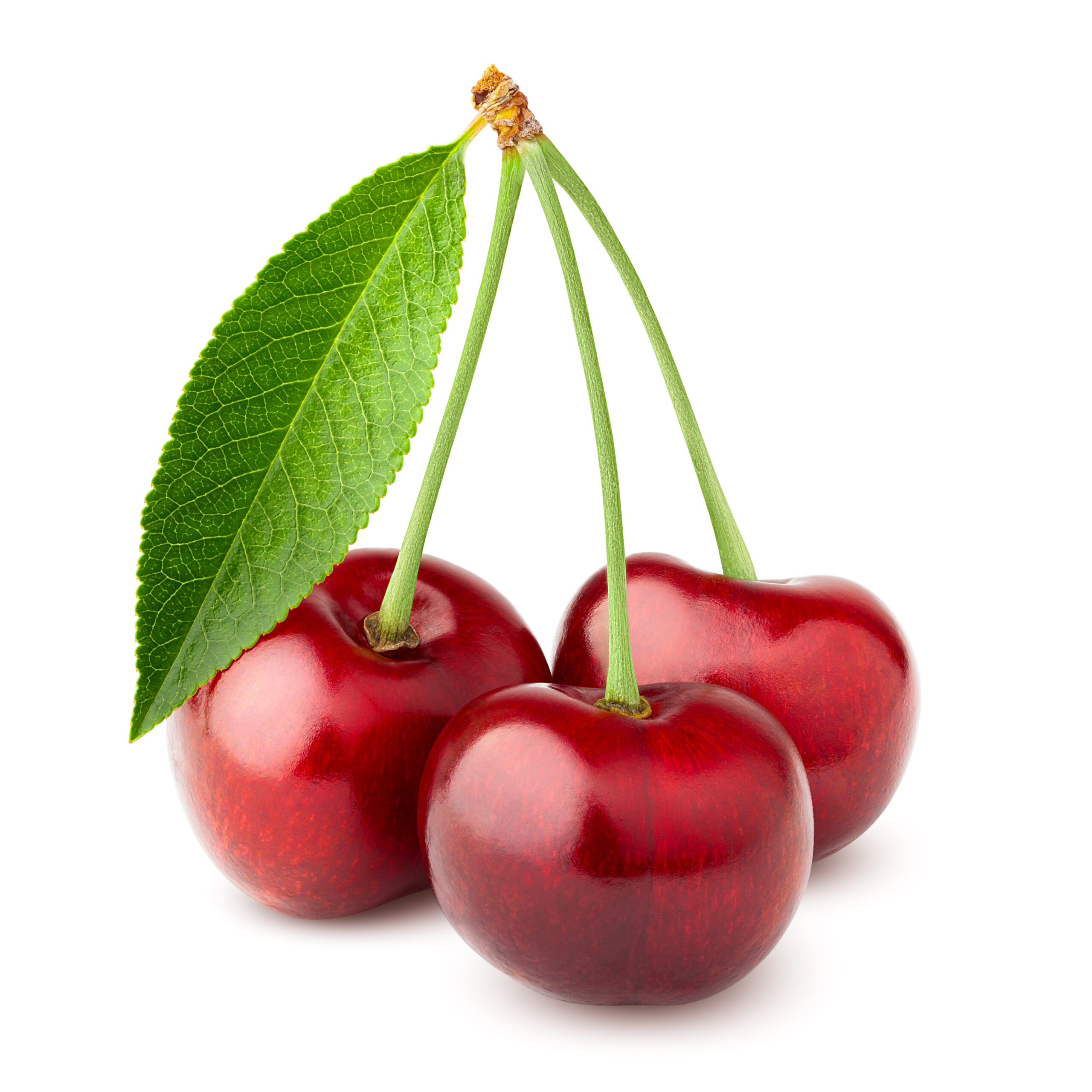 Cherry Whip
